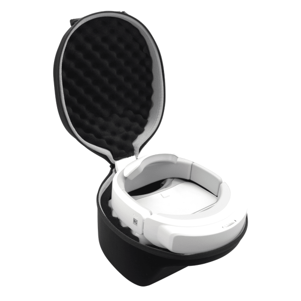 Кейс DJI Goggle Case